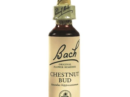 Bach Flower Remedies Chestnut Bud 10ml For Discount