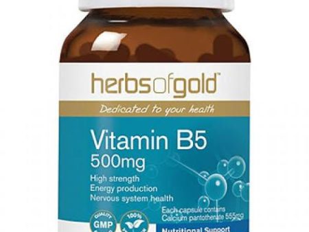 Herbs of Gold Vitamin B5 500mg 60 Veggie Capsules For Sale