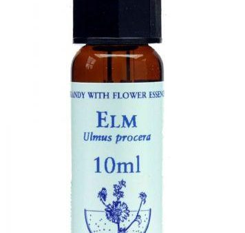 Bach Flower Remedies Elm 20ml Sale