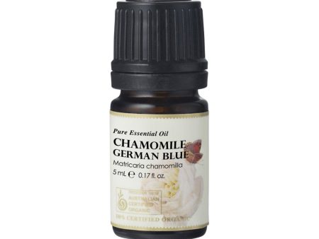 Ausganica 100% Certified Organic Essential Oil Chamomile German Blue 5ml For Sale