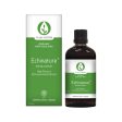 Kiwiherb Echinature Immune Health Support 200ml Online now