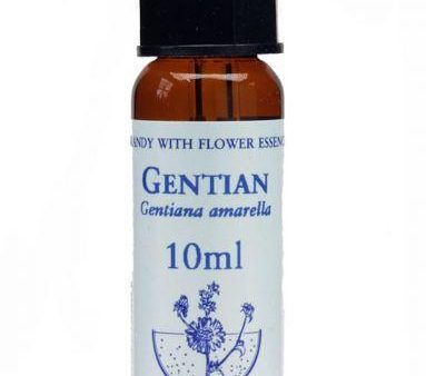 Bach Flower Remedies Gentian 10ml Online