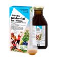 Floradix Kindervital 250ml Sale