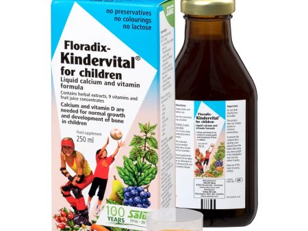 Floradix Kindervital 250ml Sale