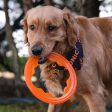 BIONIC Toss-N-Tug Turbo Ring Dog Toy Online Sale