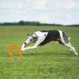 BIONIC Toss-N-Tug Turbo Ring Dog Toy Online Sale