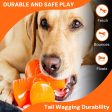 BIONIC Stuffer Fillable Dog Toy Online Sale