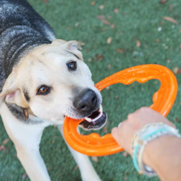 BIONIC Toss-N-Tug Turbo Ring Dog Toy Online Sale