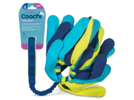 Coachi Tuggi Spider Navy Lime & Light Blue Training Toy on Sale